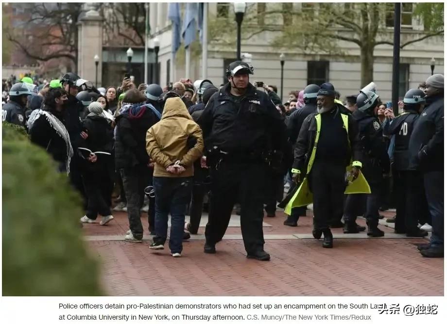 西方的自由只是一种忽悠！自己杀人可以，别人不仅不可以，反对示威都不行！
