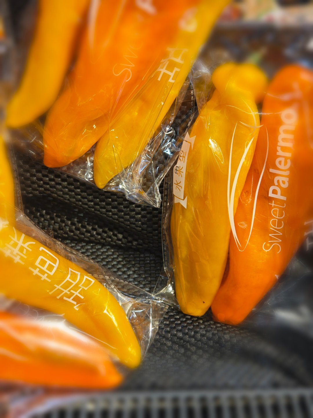 我感觉万象天地的 ole 更好玩。 