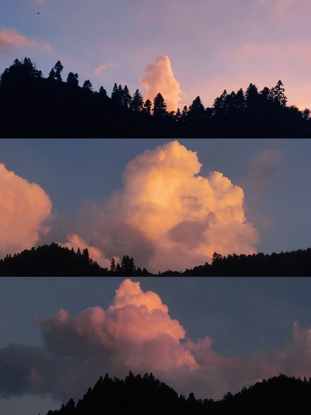 -                     日子，在朝来夕去间往复 生活，在粗茶