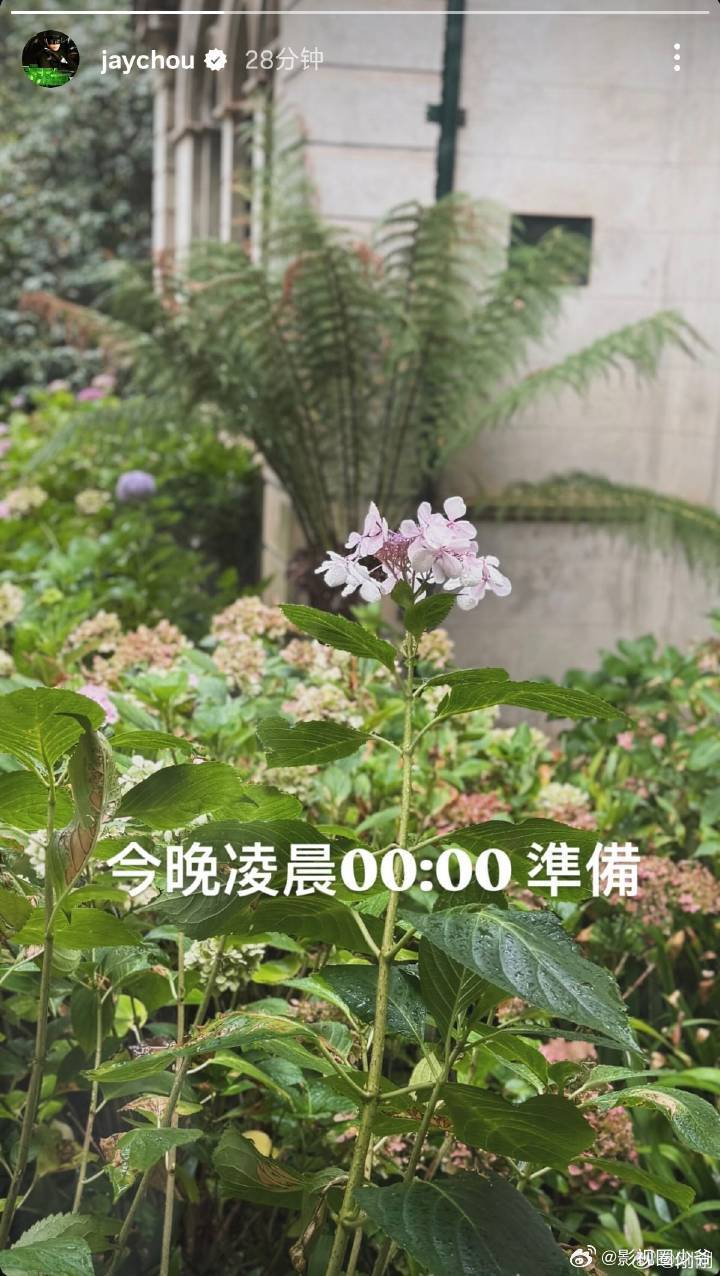 周杰伦今晚0点准备今天晚上零点出新专辑吗？ 周杰伦今晚凌晨准备