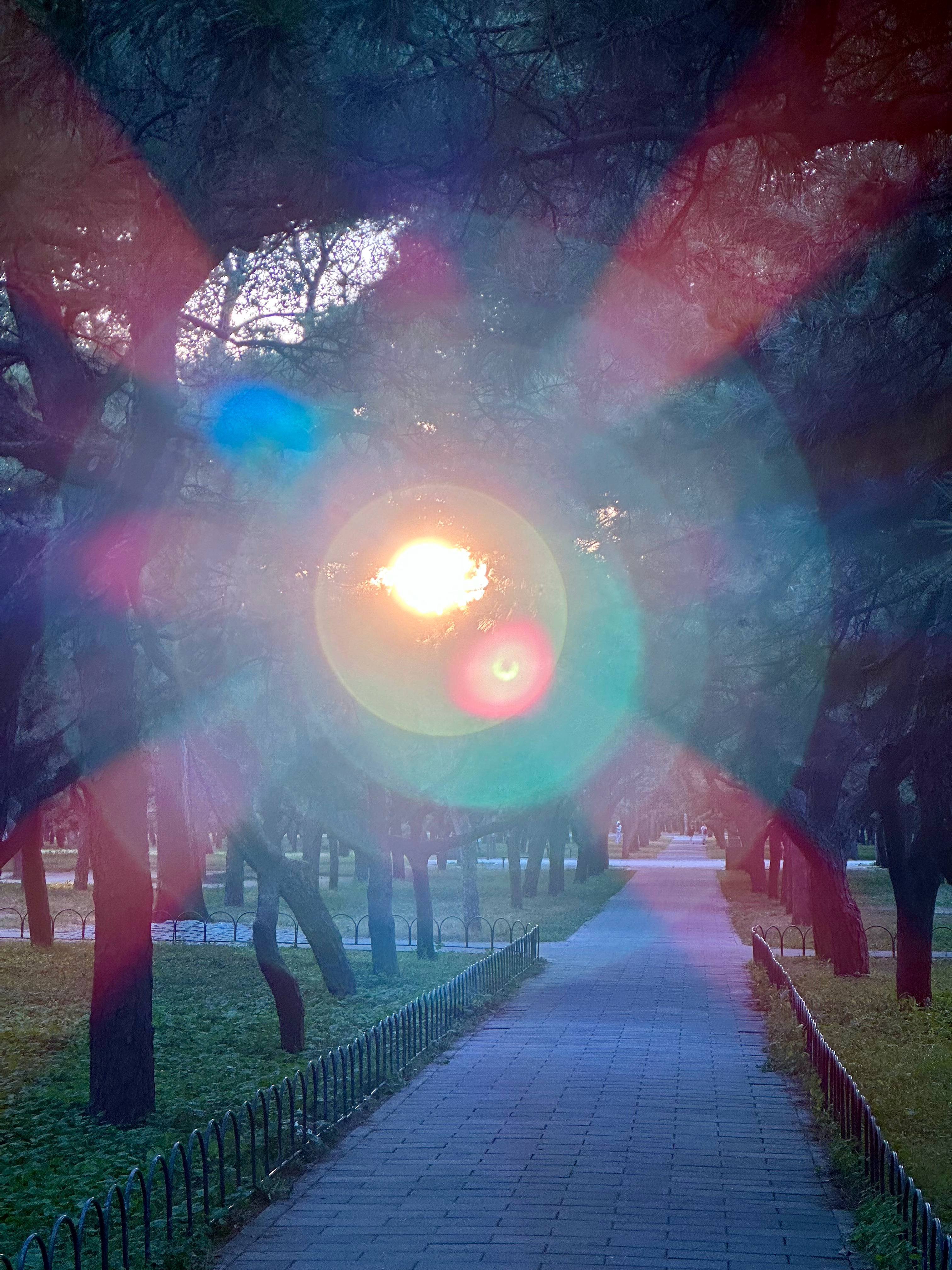 以后在这里见面吧～​​​