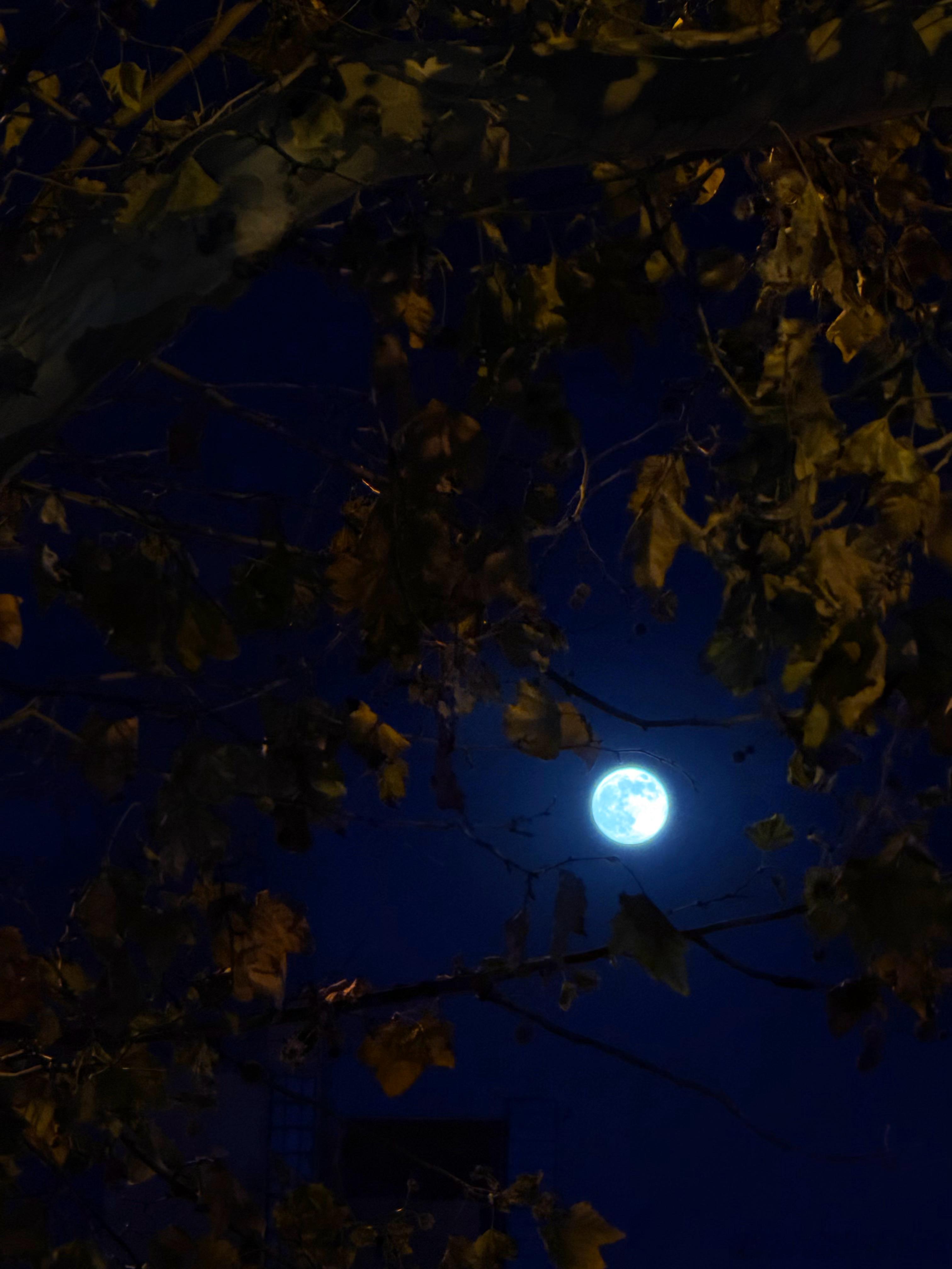 超级月亮手机的200mm和相机的2000mm宝宝你也在看月亮吗？ 