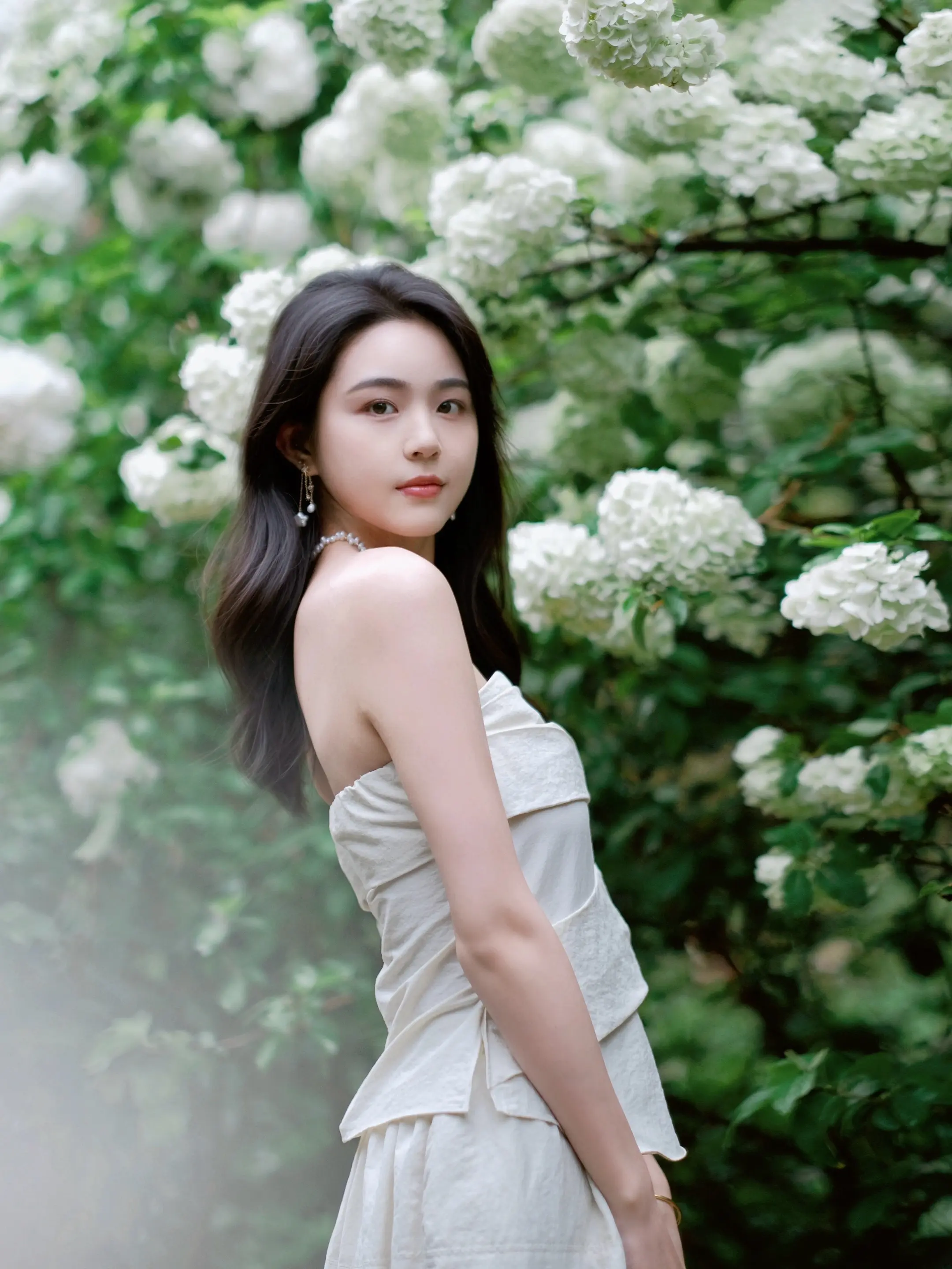 被绣球花包围的春天🍃。