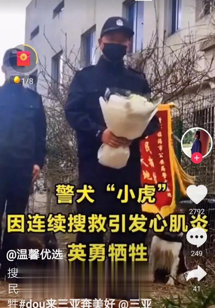 又一无言的战士因连续搜救而引发心肌炎牺牲。心痛万分！按国际惯例它们中途应该有休息