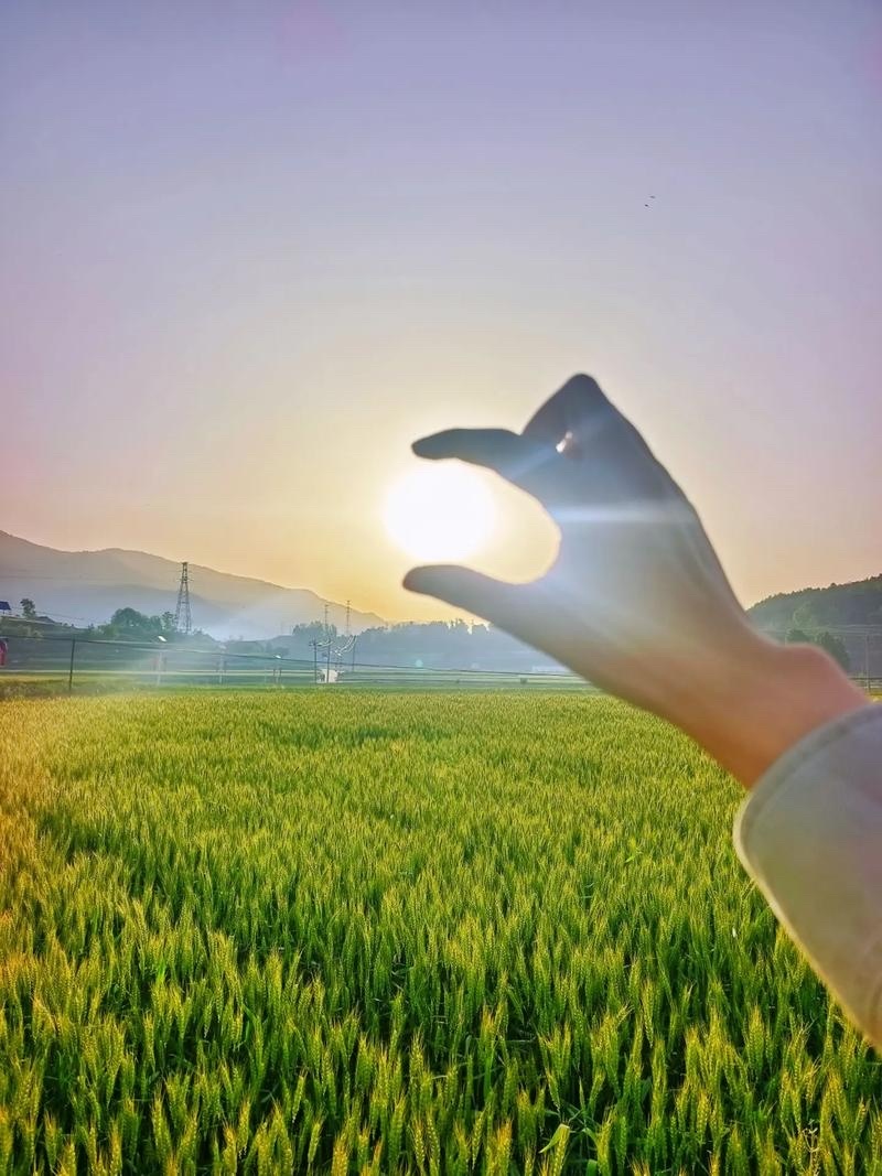 早安早安！生活就像拆盲盒，你永远不知道下一个惊喜在哪～ 收拾好心情，带着微笑出发