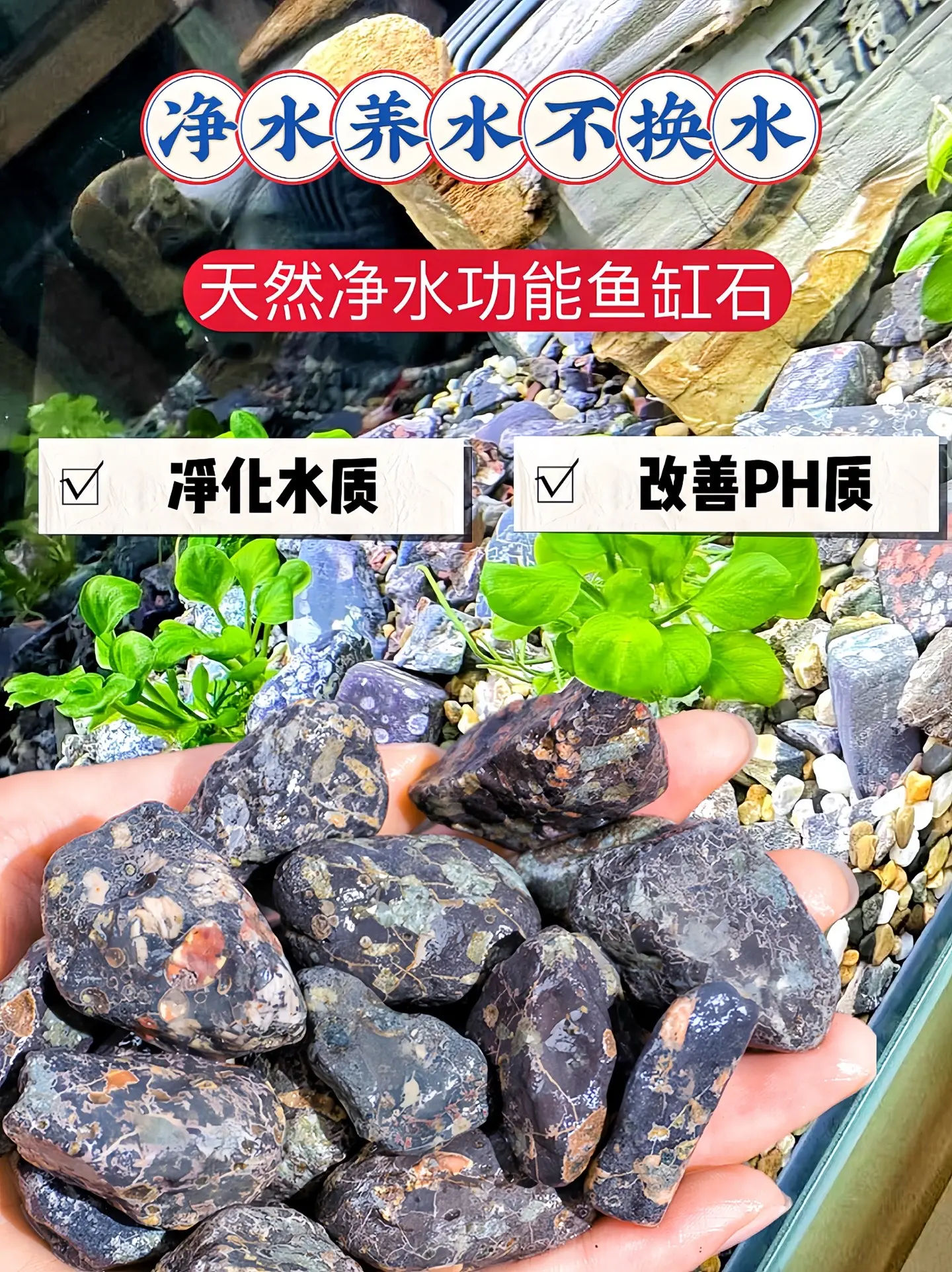 哥哥们，如果你用了这款梅花石就不用经常换水翻缸了