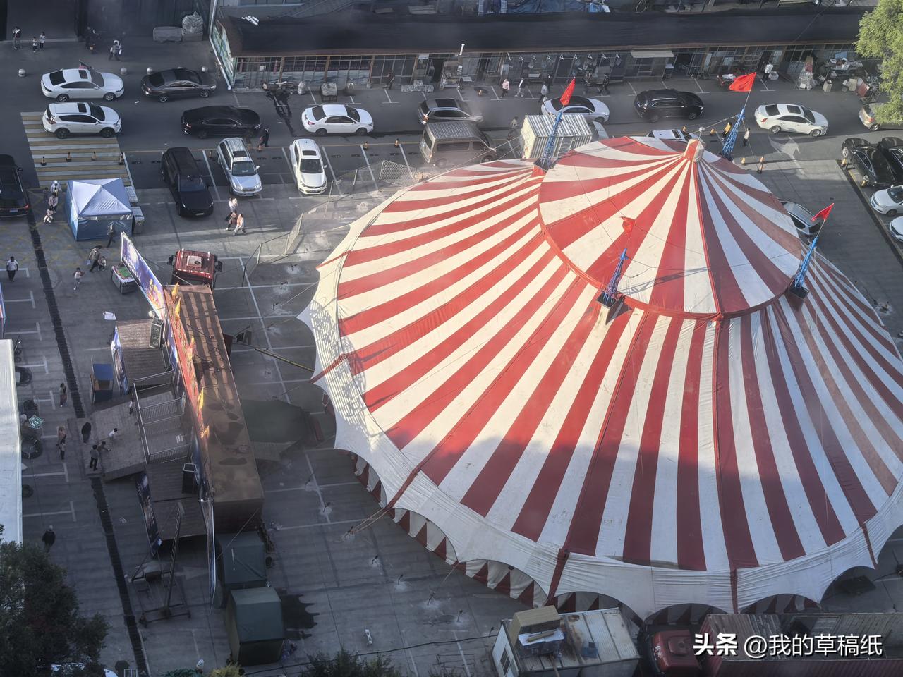 西宁城北首届金秋服装美食娱乐购物节+吴桥隆鑫马戏团空降生物园区！

周末去哪玩？