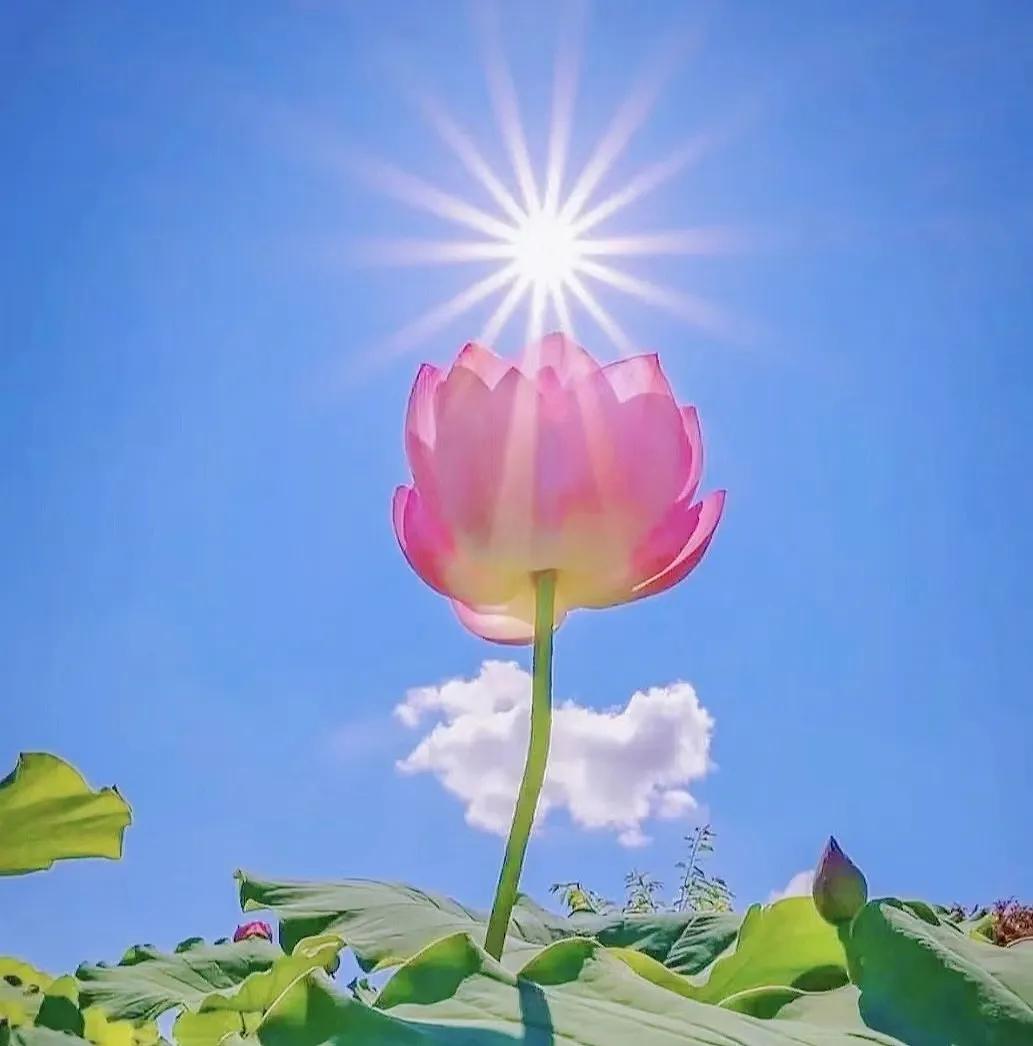 人生最顶级的享受是什么？
就我个人而言，
是早起喝温水一杯，
燃一支烟蹲坑，
只