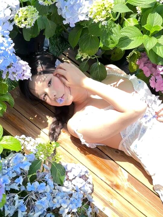 无尽的夏天 绣球花的浪漫🌸