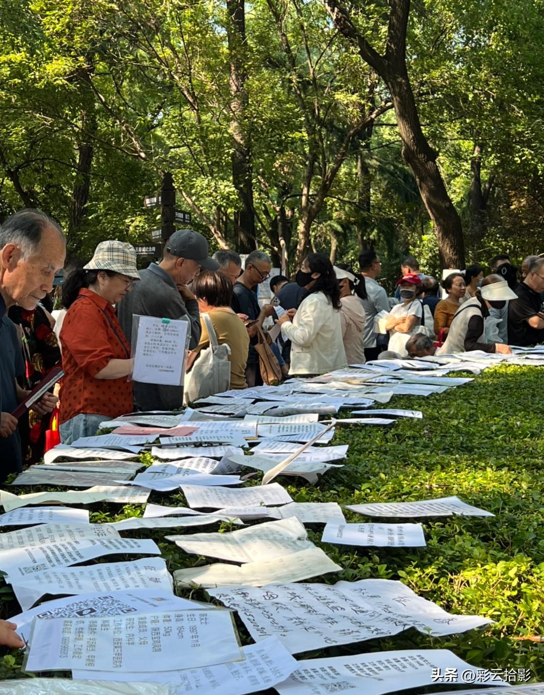 昨天打卡西安最大的民间相亲角——革命公园。

这里每周三和周日准时热闹爆棚，完全