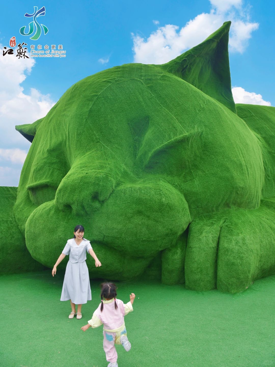 上海高铁2.5h🚄我找到了这座全是猫咪的小岛