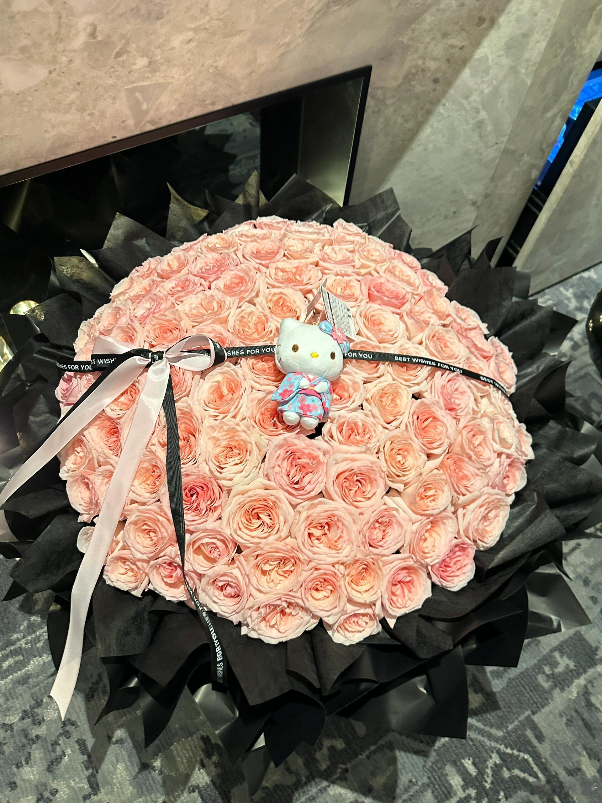 在金普顿拍了特别多美腻的照片 