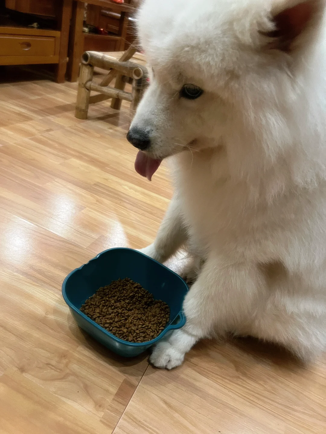 以为回村有肉吃