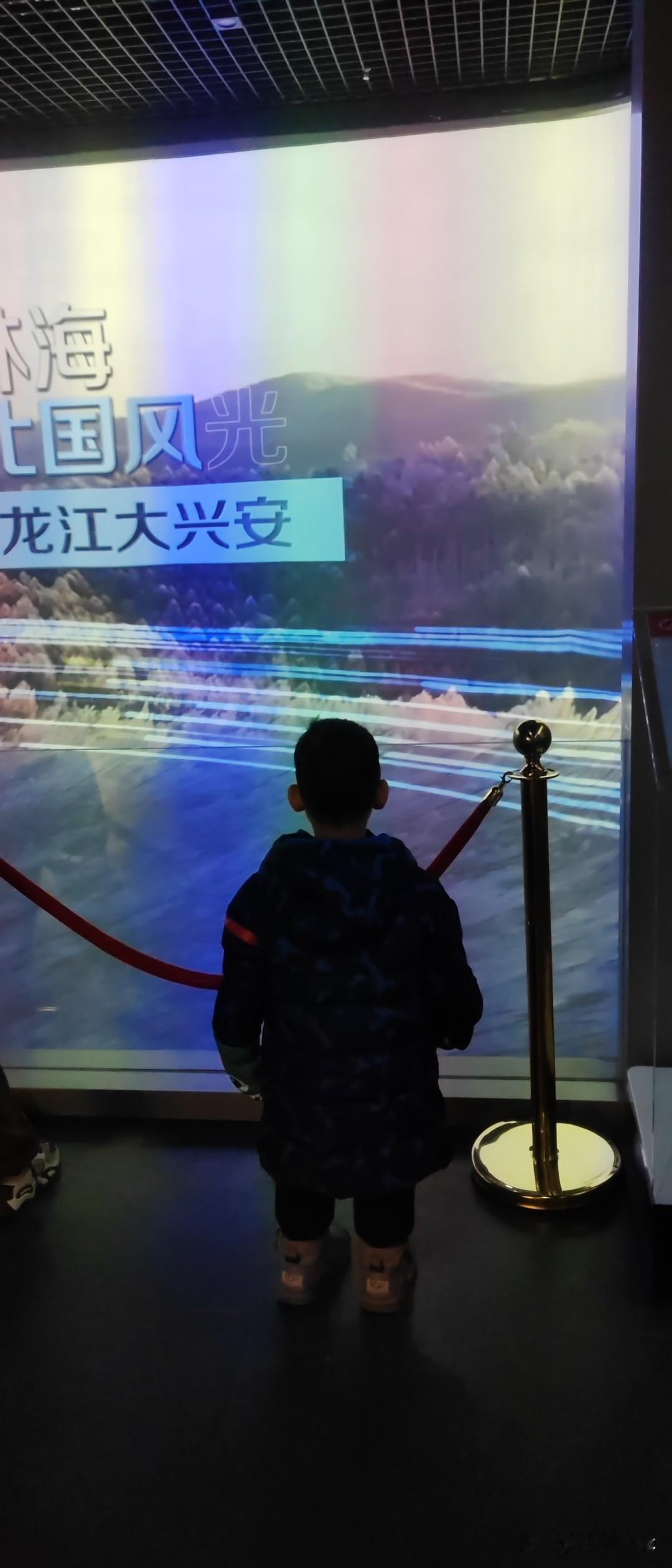 家人们谁懂啊！

在博物馆里，我家娃突然定在这块投影大屏前，一步都挪不动了！
 