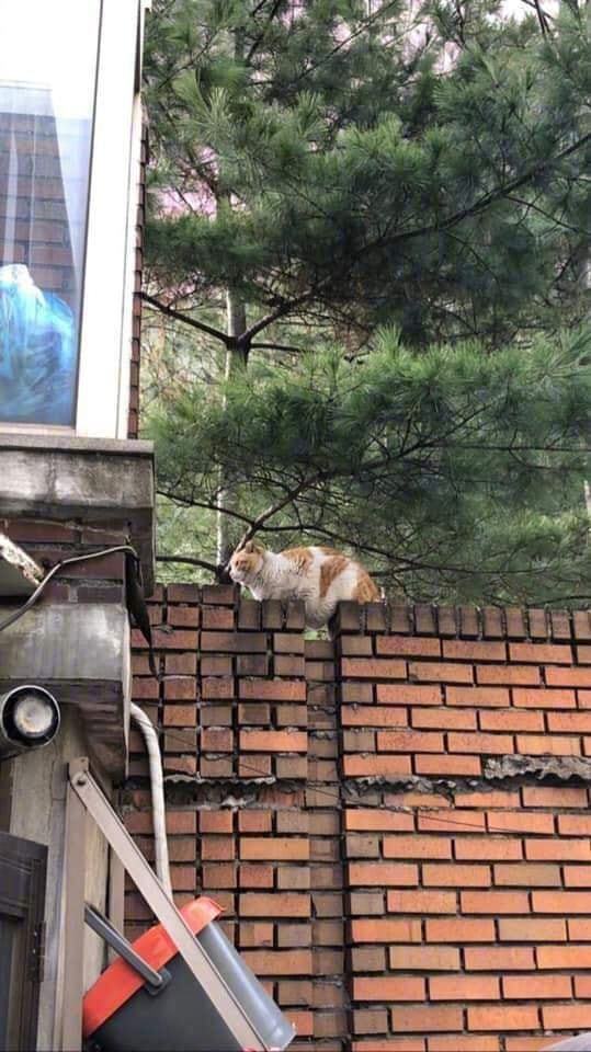 暴露了吧...[喵喵]