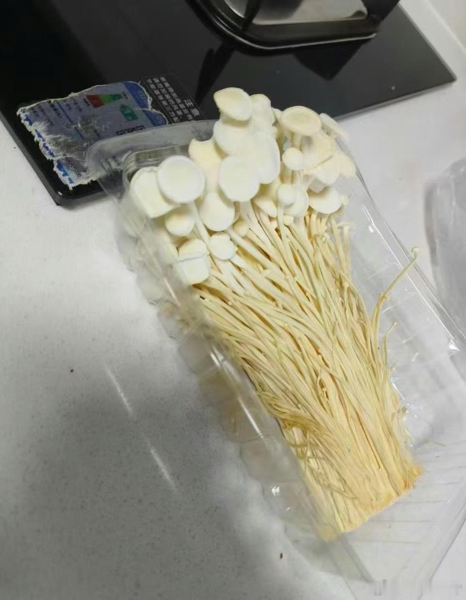 买的金针菇忘记吃了成这样了冰箱佛系养菇大成功，买的金针菇没吃上火锅，反倒给自己养