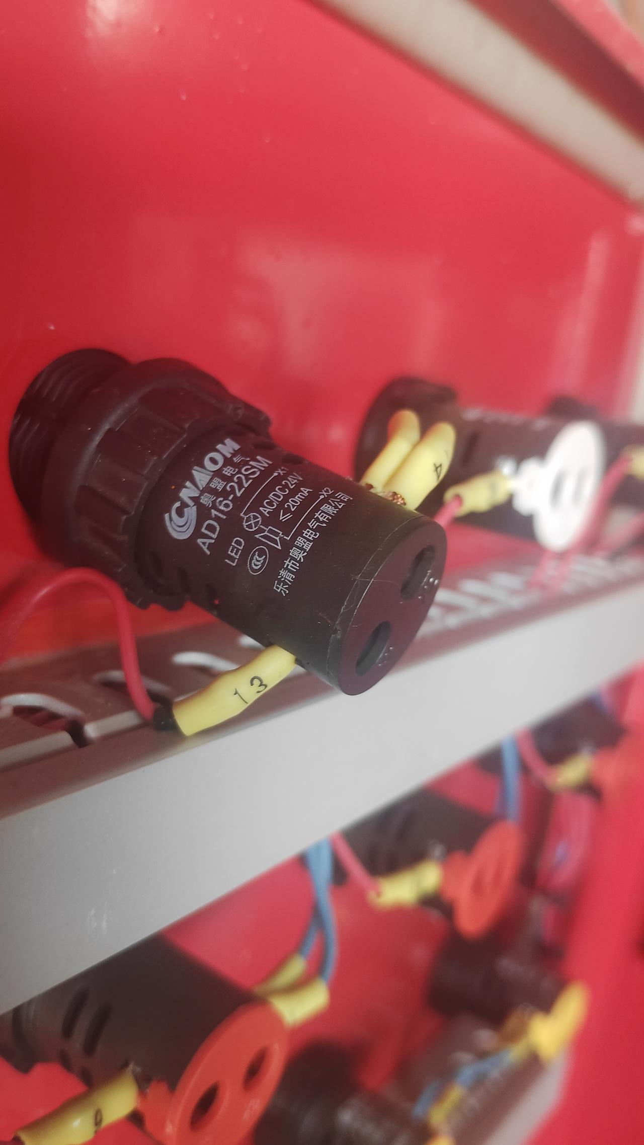 春日生活打卡季