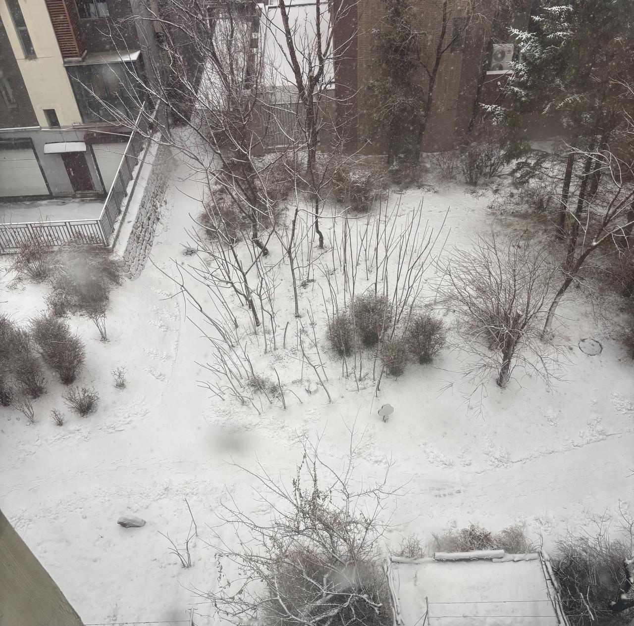 辽宁的雪也正式开始下了！
过了冬至，才是真正寒冷的开端，雪才正式飘落。此前的那几