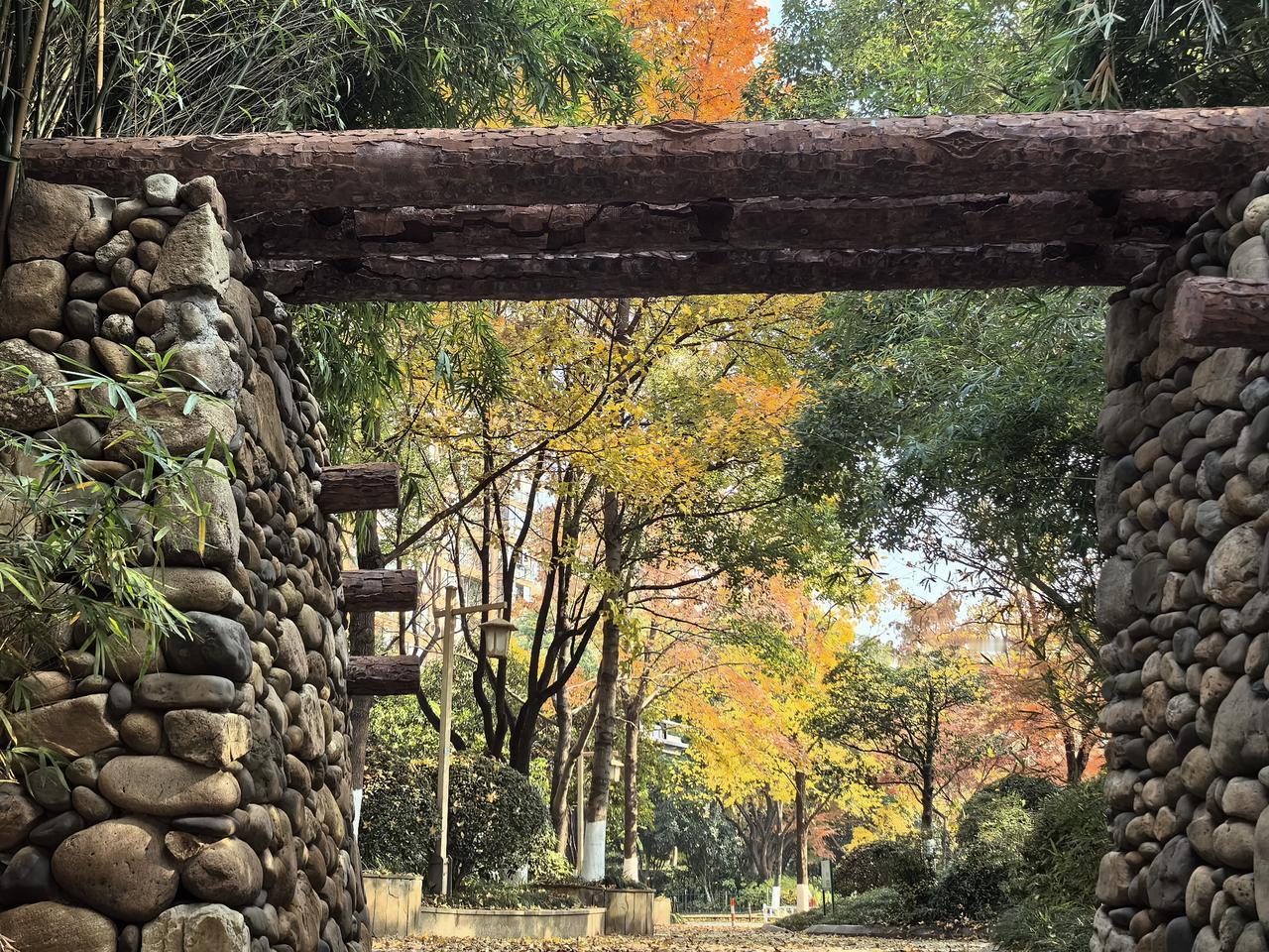 【热评】毒死狗狗犯不犯罪
男子毒死9条宠物狗一审获刑4年

看到“男子毒死9条宠