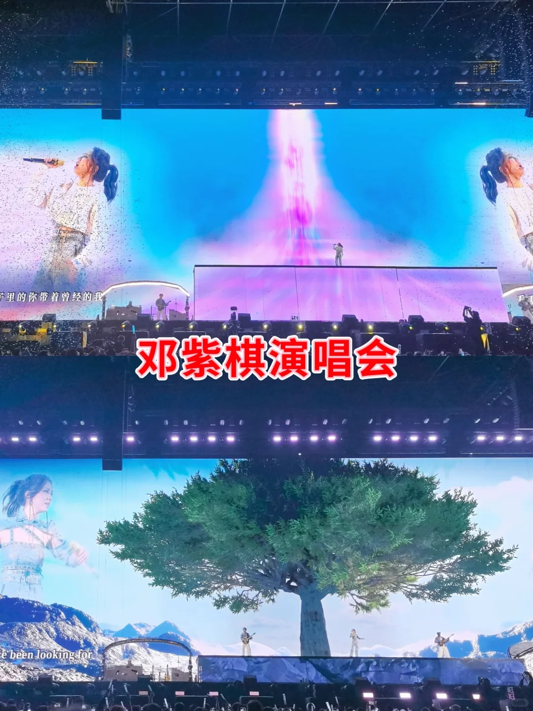 一图看懂👉武汉体育中心(看演唱会)全攻略✅