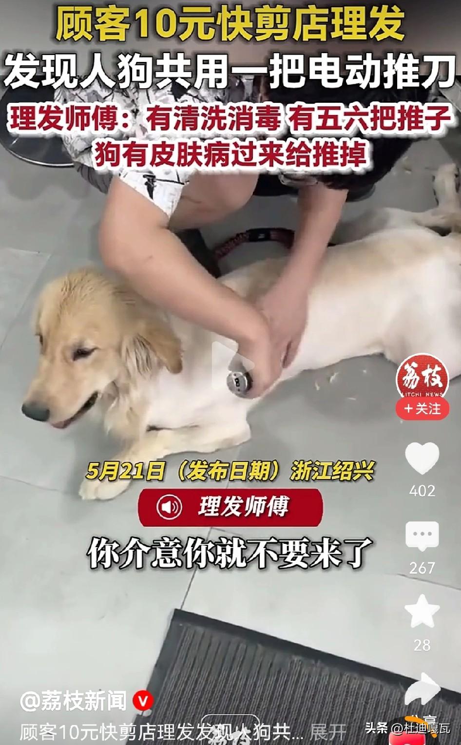 这个理发店的老板很讲究，因为给狗用人剃头的推子，说介意就不要再去了。
如果不是一