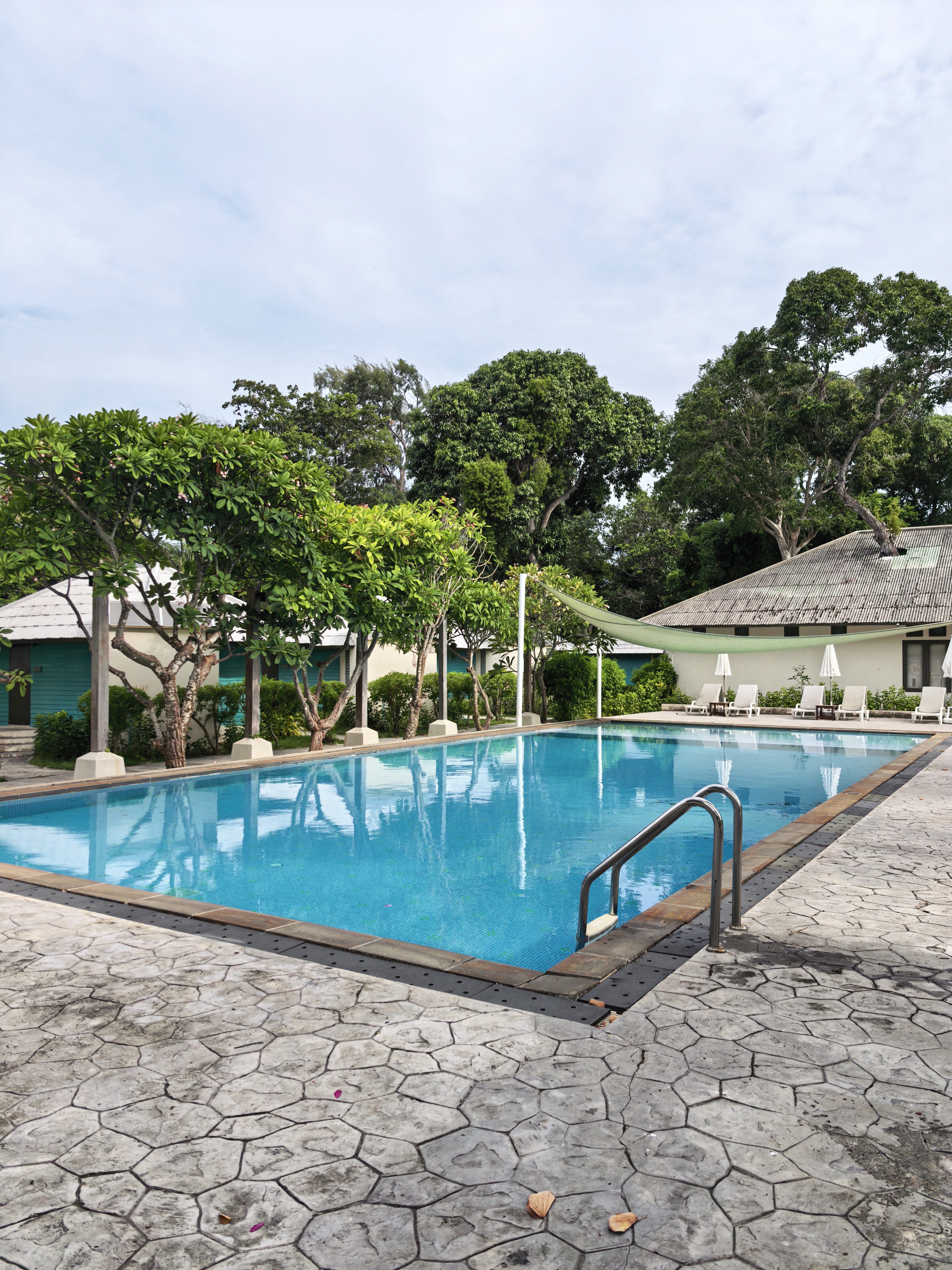 🌊 