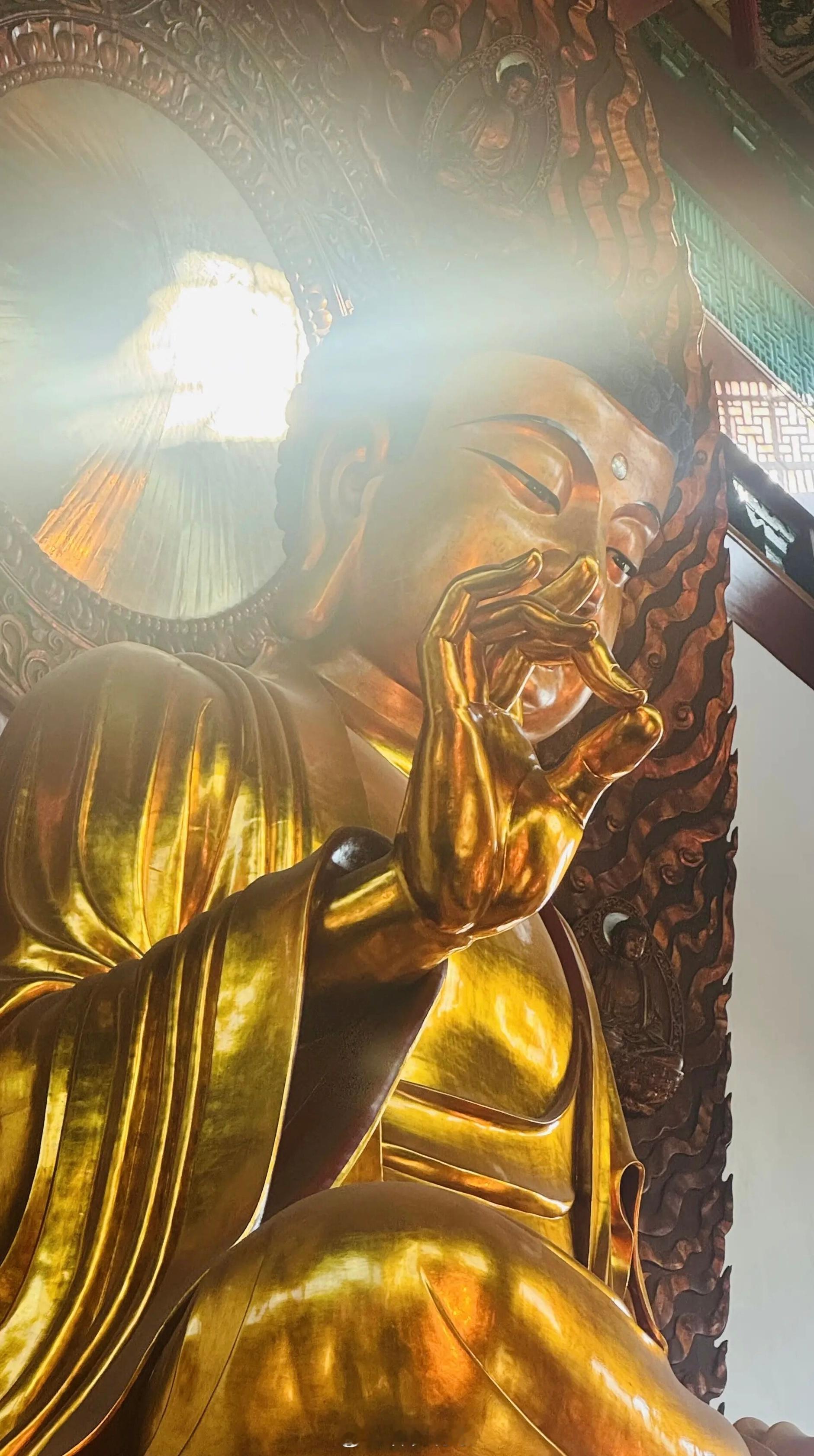 释迦牟尼曾经也是贪嗔痴的病患，通过修行，发现人类具有觉悟潜质，具有自我治疗的能力
