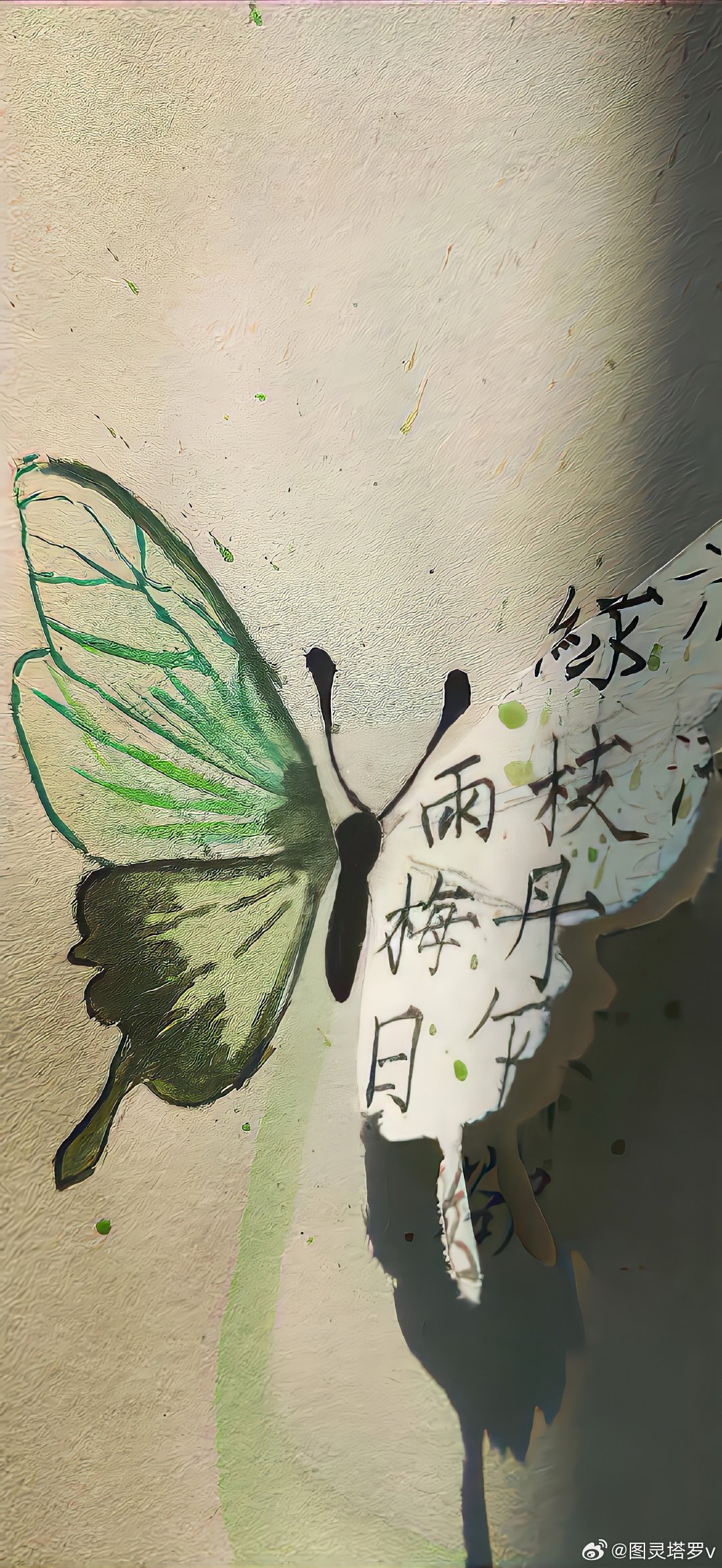 图灵塔罗  金水团体，现在就是一群睁眼瞎除了互相算计，就是互相骗钱，还死死纠缠分