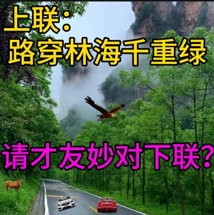 下联：细雨湿青袍
