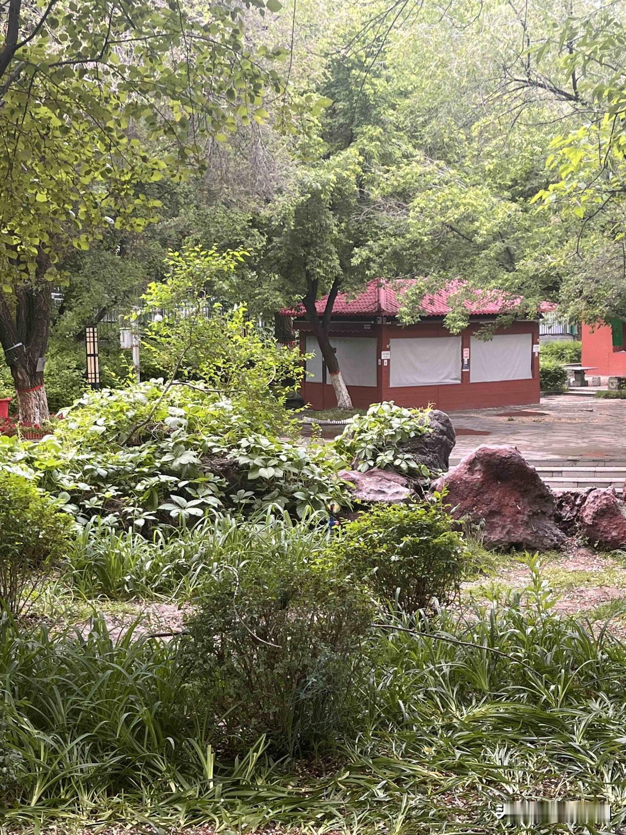 太热了！又是高温的一天，6月20日周六，乌鲁木齐最高气温35℃，最低气温27℃，