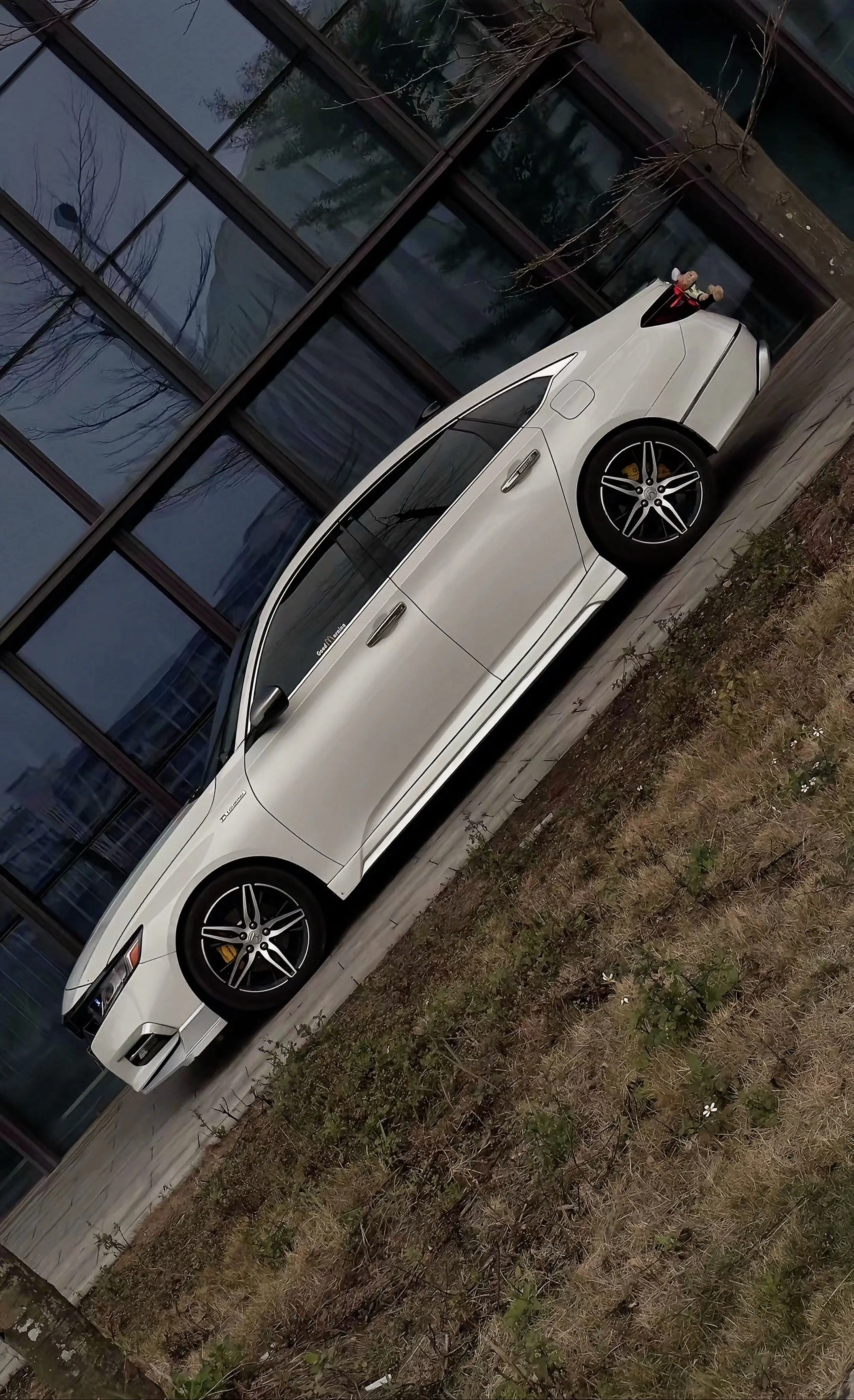 你知道吗 你至少必须拥有一个不良嗜好来拯救自己这是维持内在生命力不至于拮竭的源泉