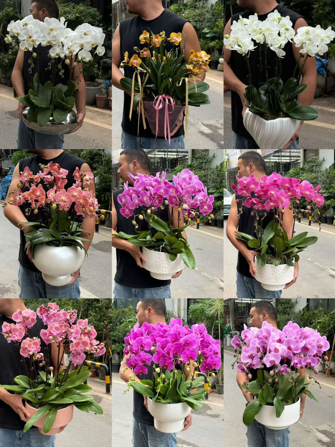 公主👸请选花～