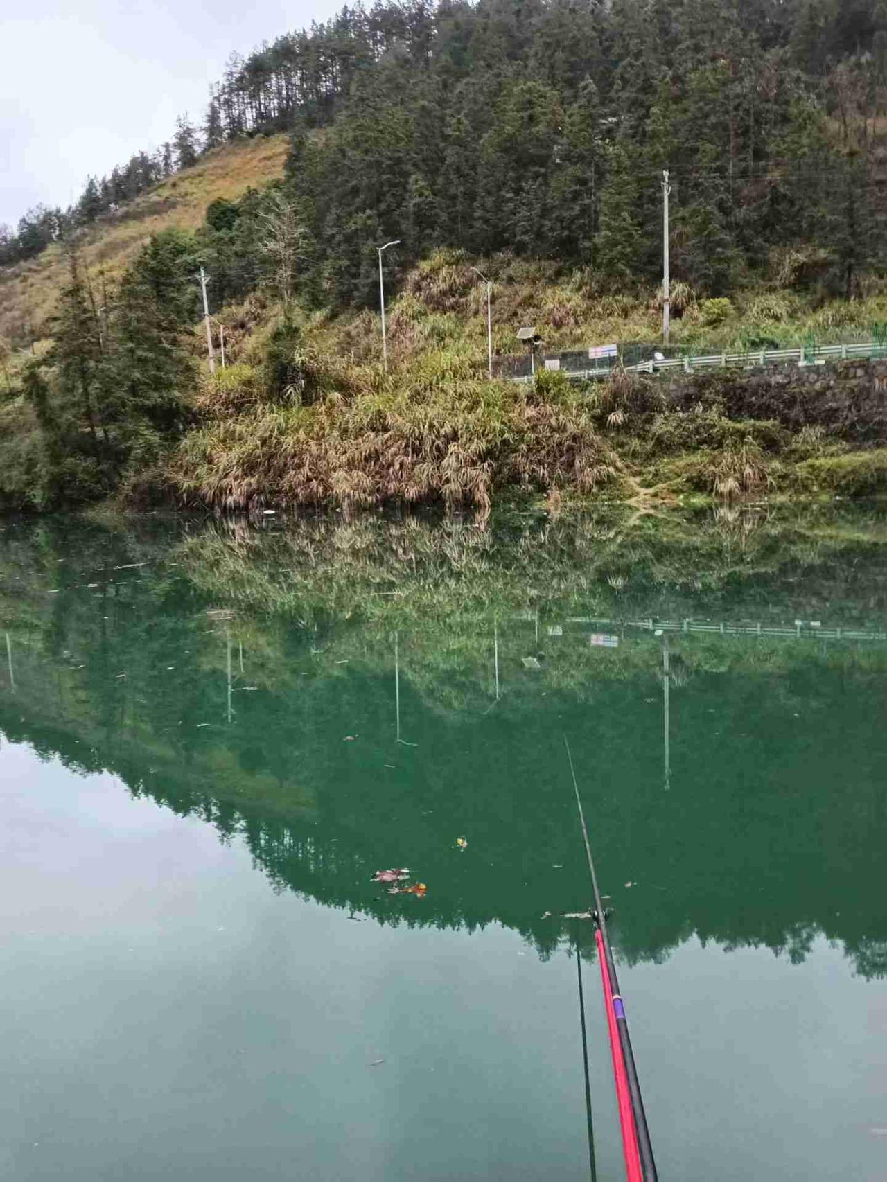 我的今日状态：😁轻松愉快
我这里的天气：🌧下雨
朋友到市郊八月湖野钓，小有收