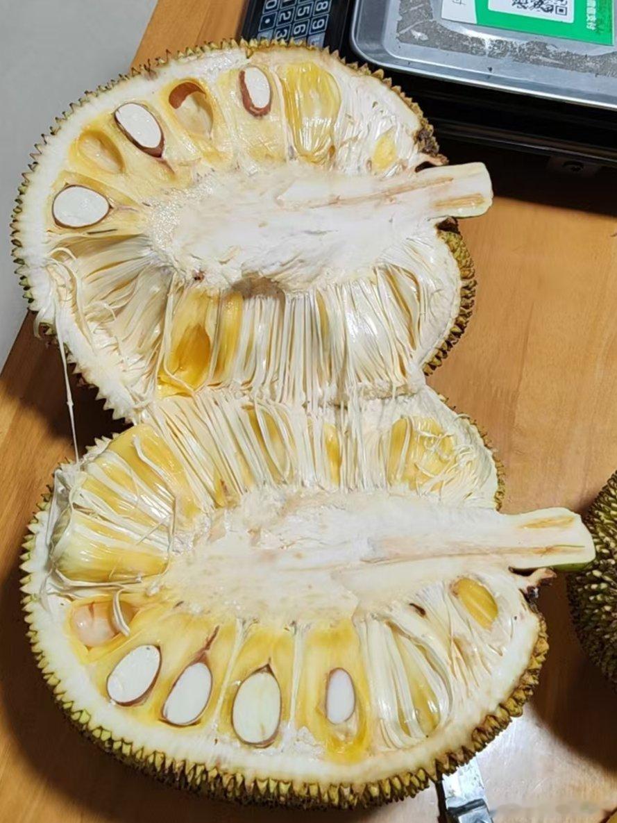 昨晚邻居来家里开菠萝蜜直夸我命真好！家里有果园一年四季水果吃不停，公婆勤快，米和