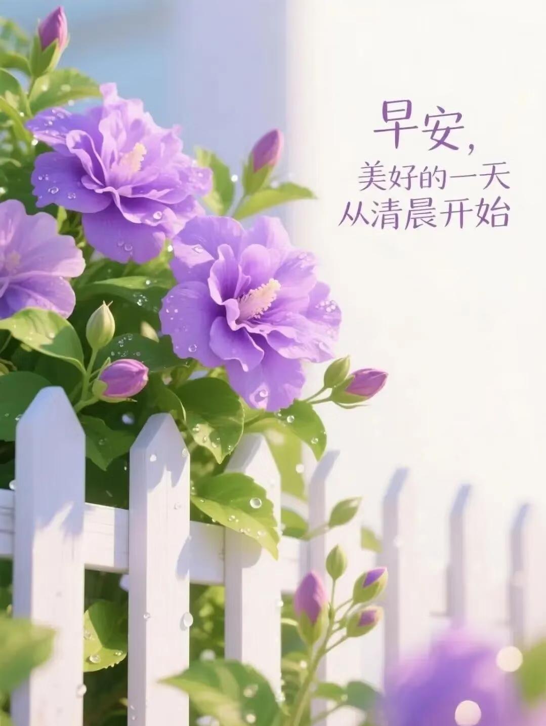 早上好，今天是8月20日星期四，距女排亚锦赛还有两天。
据意大利媒体和巴西媒体消