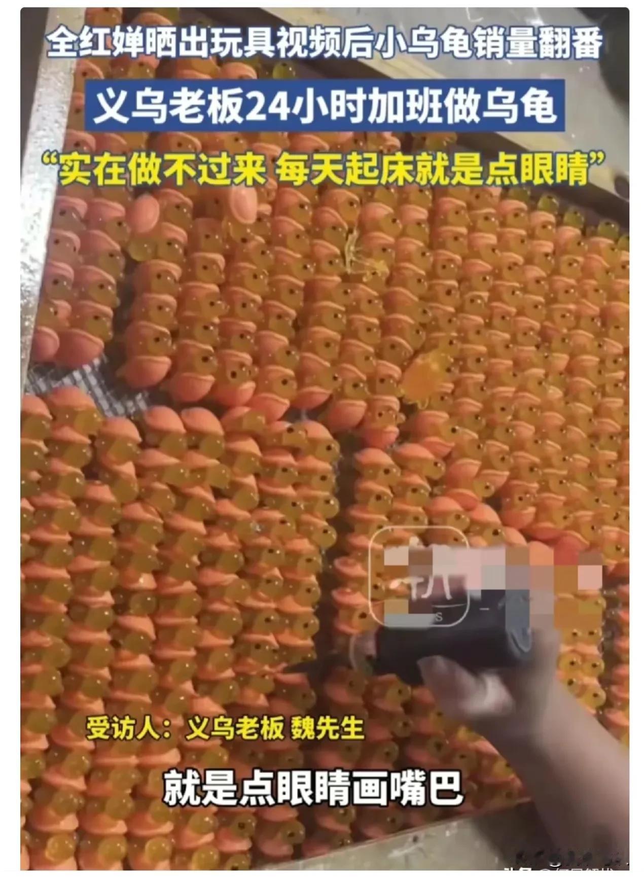 真没想到，全红婵不但带火了自己的家乡，而且还带火了一个义乌的小乌龟生产厂。因为全