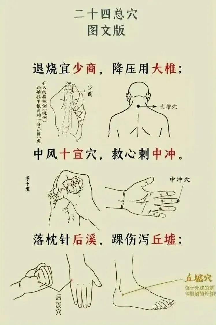 你还在为穴位记不住而烦恼吗？今天给大家带来一个神奇的秘诀——二十四总穴歌诀！图文