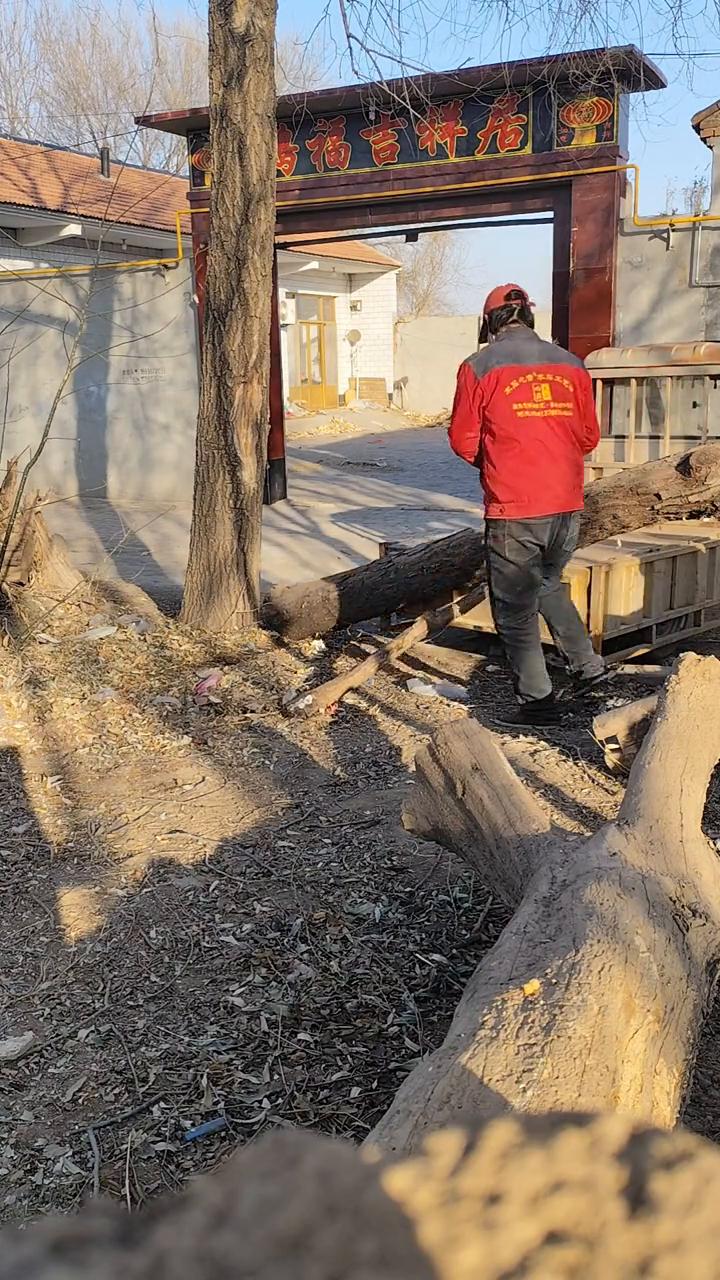 木石心音·河北沧州。
原生态茶桌花架摆件。我就看你带个砸脚的样儿。