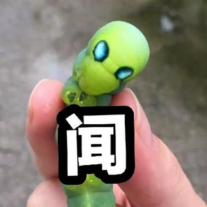 厦门的所见所闻