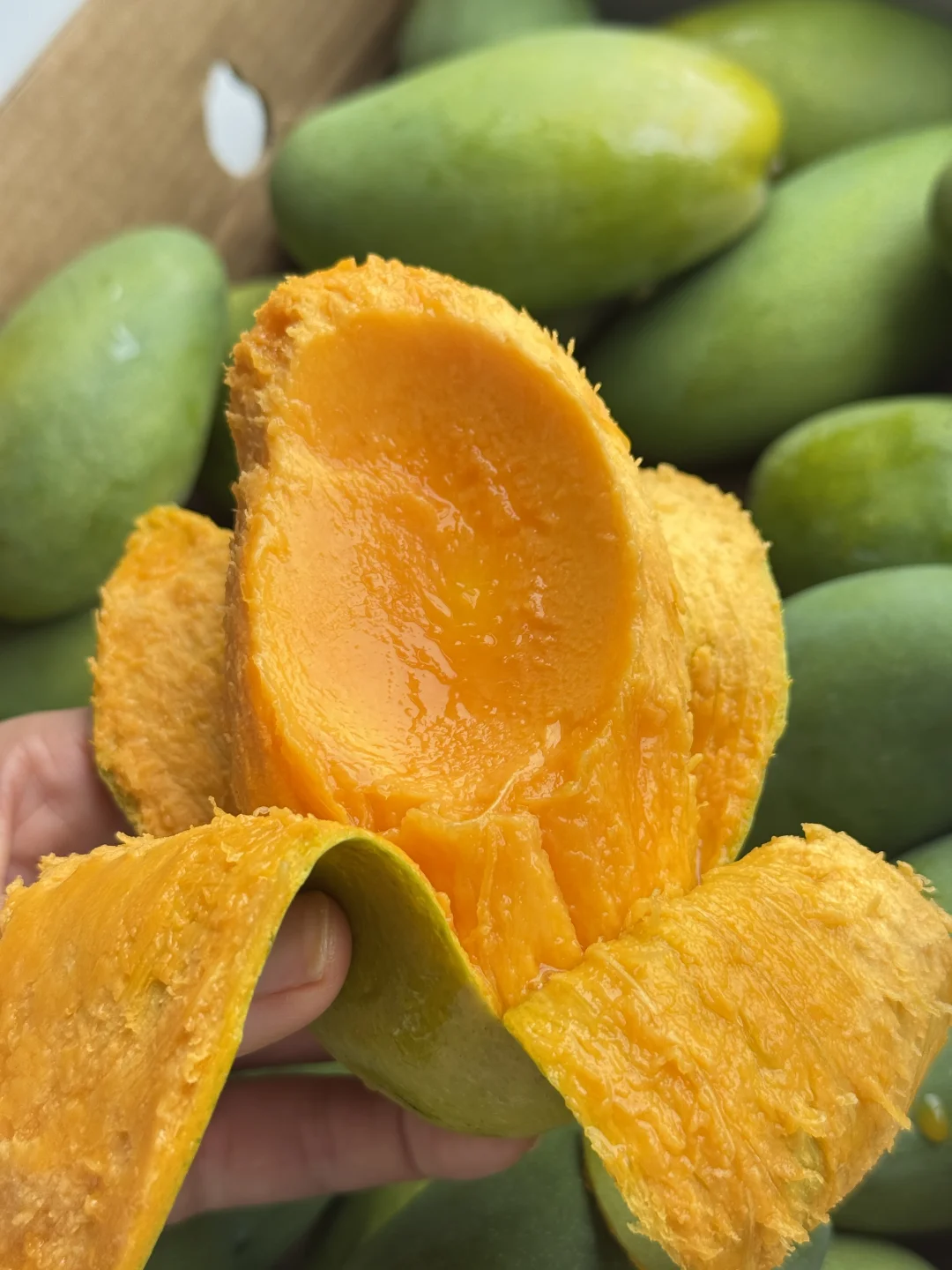 以芒果之名，赴一场椰子的香甜盛宴🥭