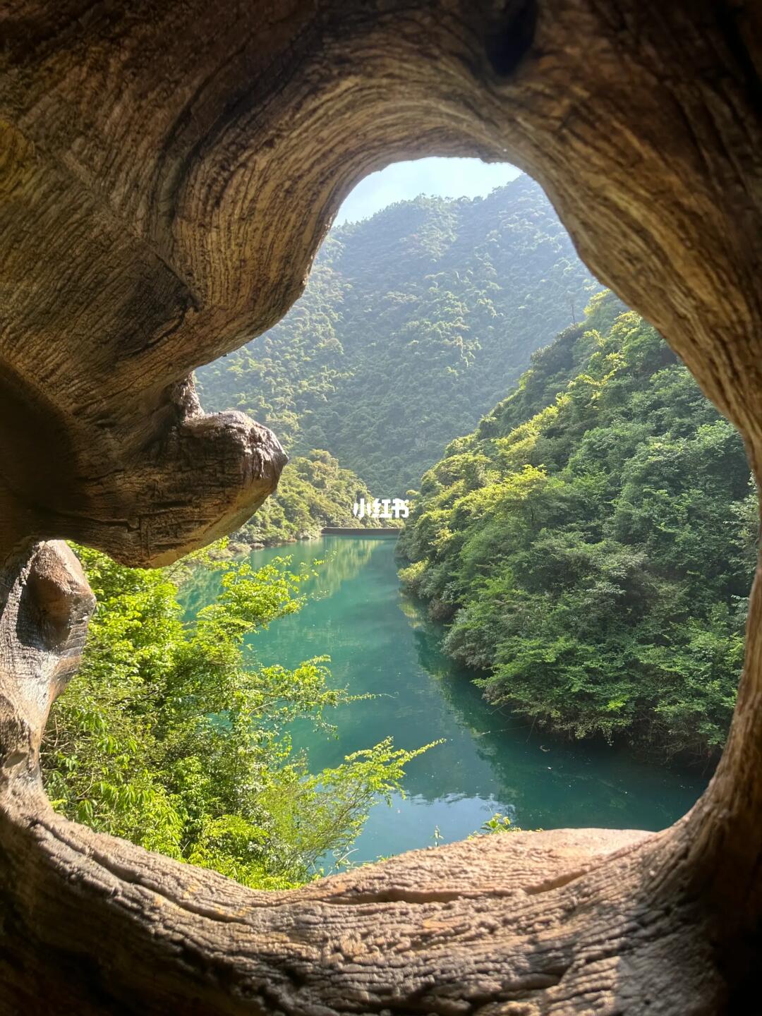 夏日溯溪指南 | 玩水才是夏天正确打开方式