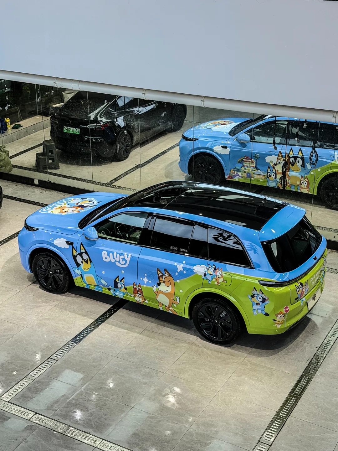 布鲁伊！再次让我对理想又回到了热恋期