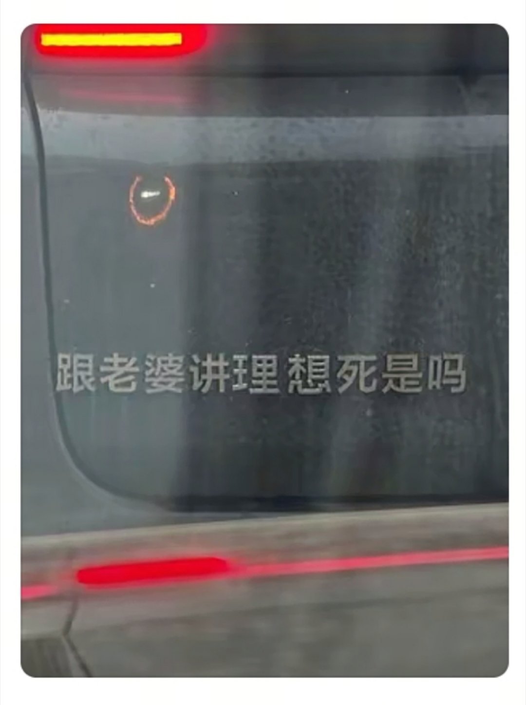 你…奇不奇瑞士卷看着看着忍不住嘴角上扬