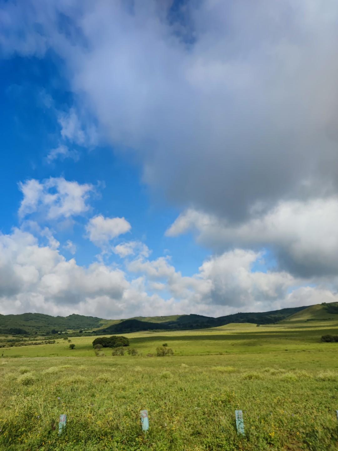 不会打麻将，
不会打扑克，
不愿意串门，
不愿意八卦，
没做过美容，
不会化妆，