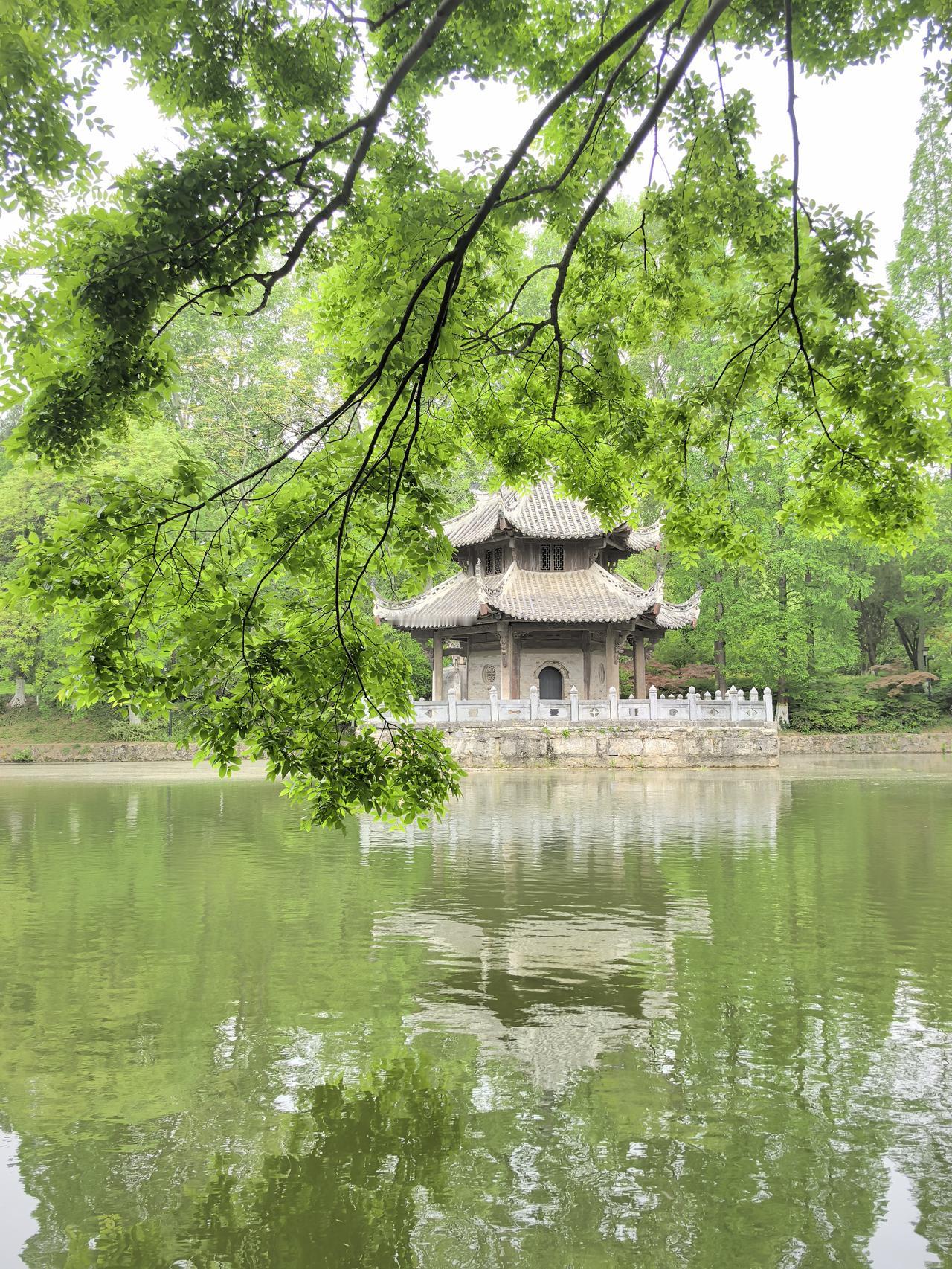 春色鲜嫩映湖绿，前朝古亭衬波平，枝垂浅黛牵云影，半入烟峦半入晴