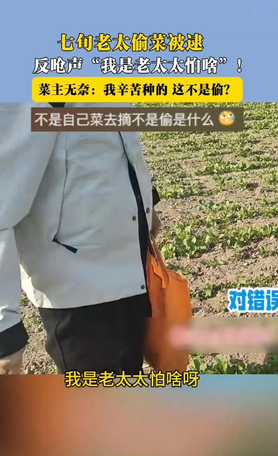 7旬老太偷菜被抓，“理直气壮”回应我是老太太我怕啥！真让人无语。
北京小伙遇到的