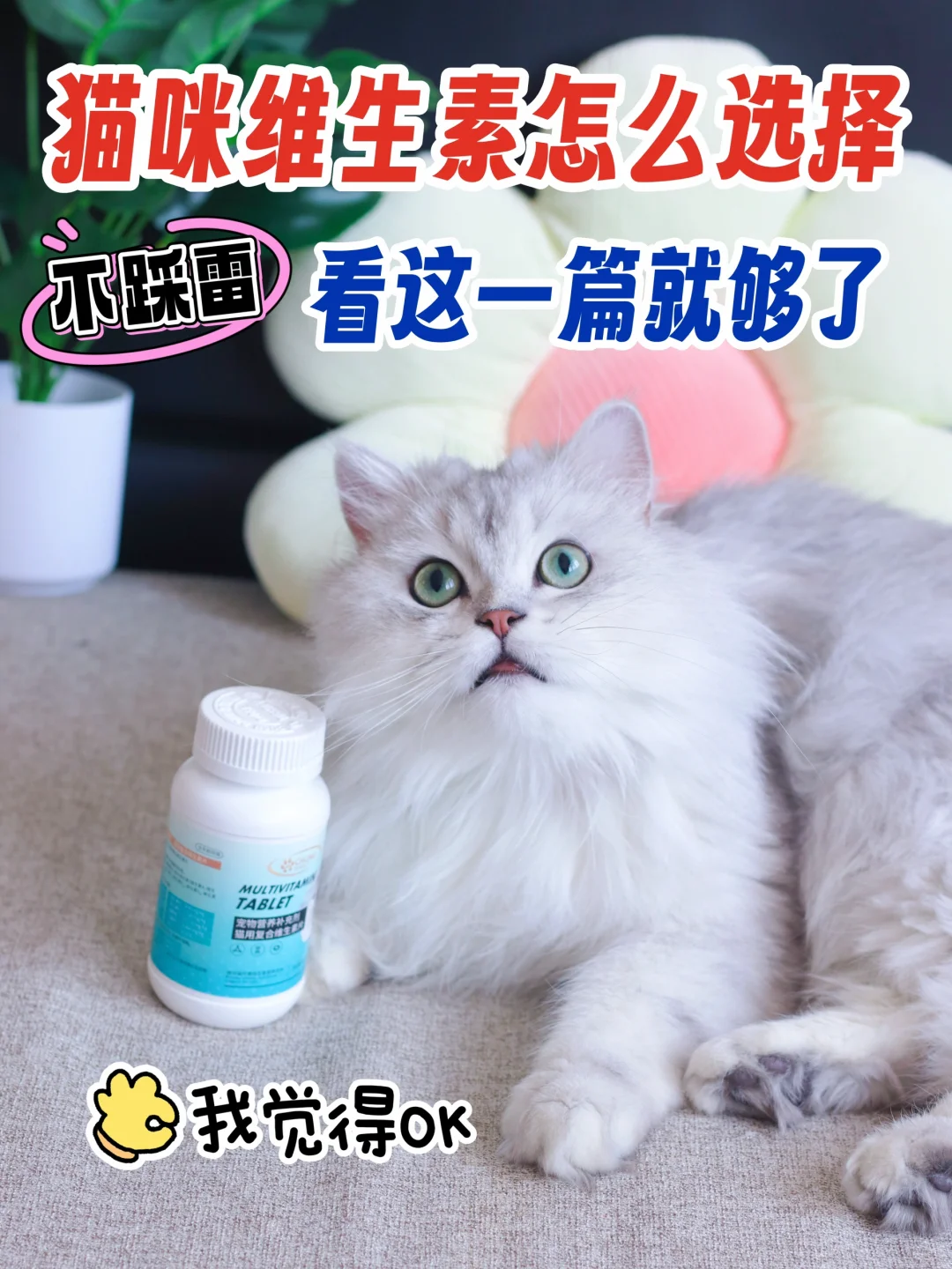 养宠日志/🐱猫咪维生素片怎么挑选？