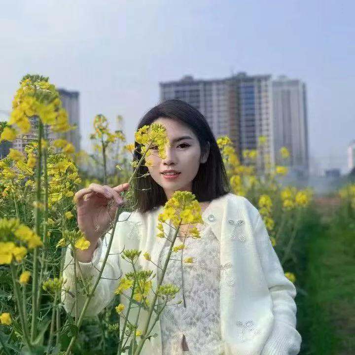 阳光明媚的午后，与野花共舞的美好时光秋日野花 花园里的野花 晴天下的花海 彩色野