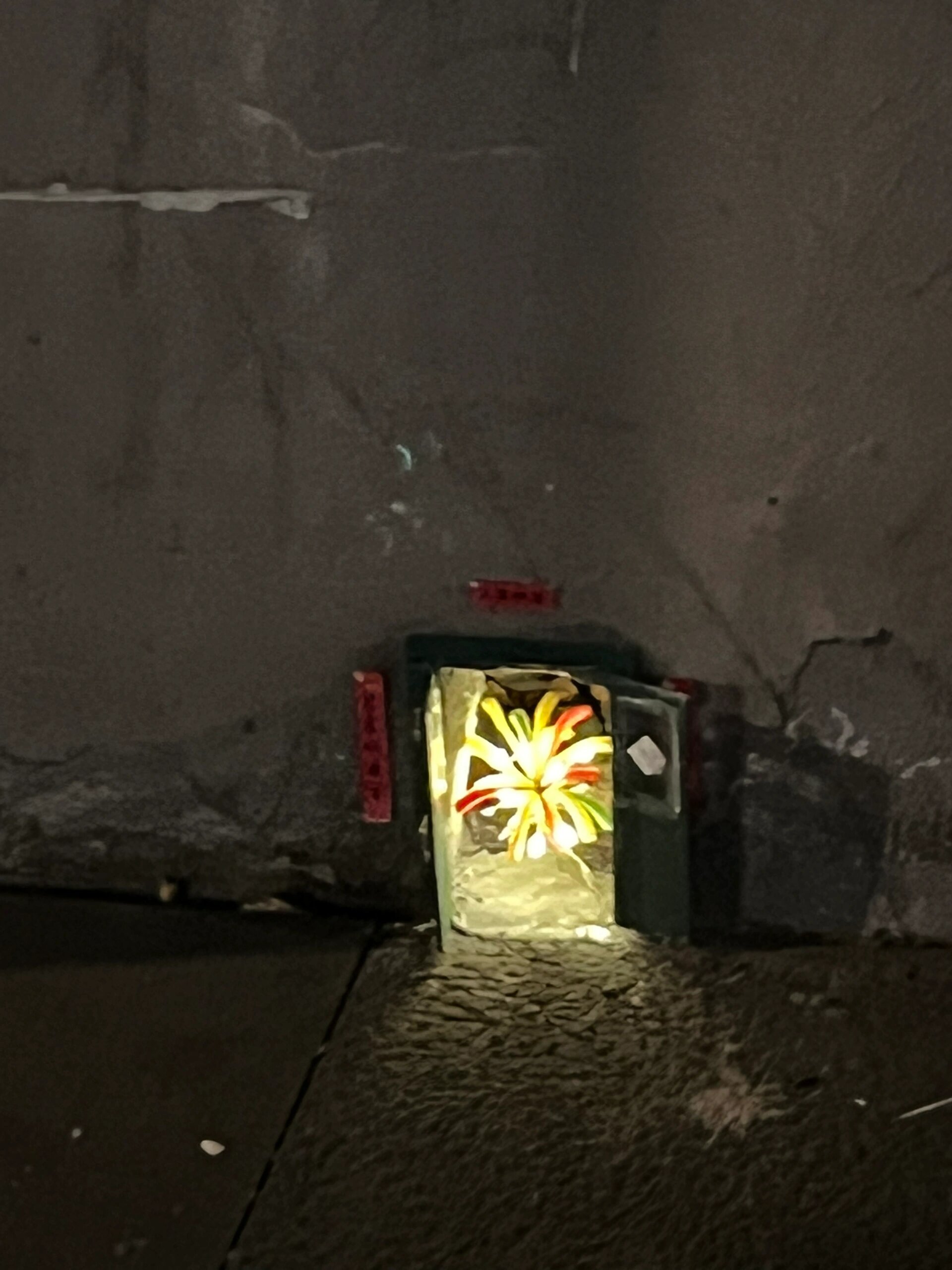 下班路上遇到了种烟花的人 ​​​