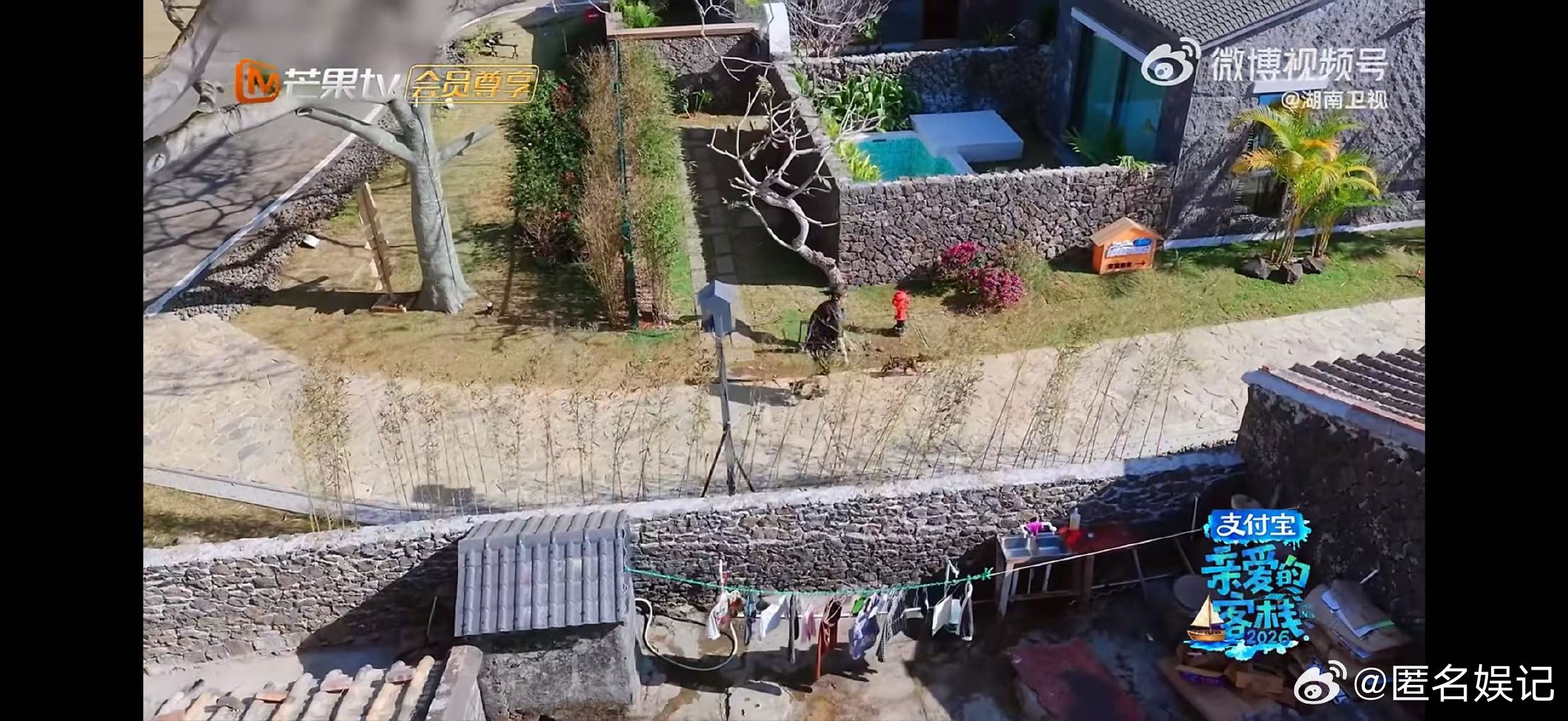 王鹤棣被羊遛了亲爱的客栈本想当救羊英雄，结果被小羊狠狠拿捏，王鹤棣追羊也太有梗了